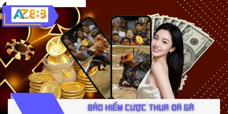 Bảo Hiểm Cược Thua Đá Gà