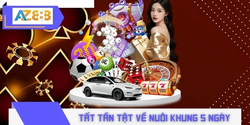 Tất tần tật về nuôi khung 5 ngày